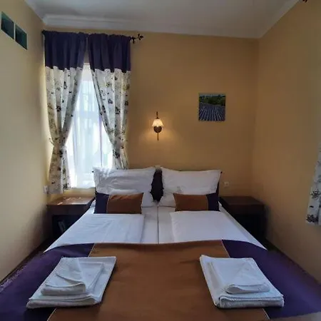 Πανσιόν Thermalia Vendeghazak - Tulipan 3*
